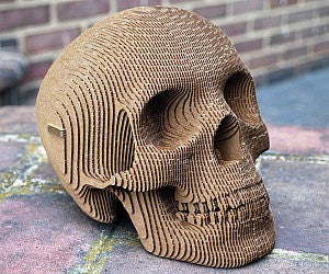 Cardboard Skull